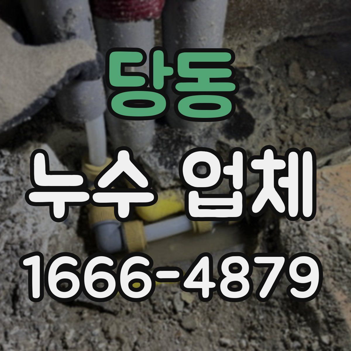 당동 누수 업체