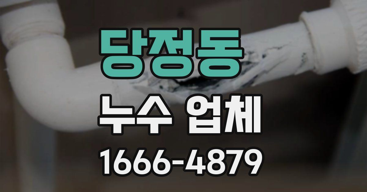 당정동 누수 업체
