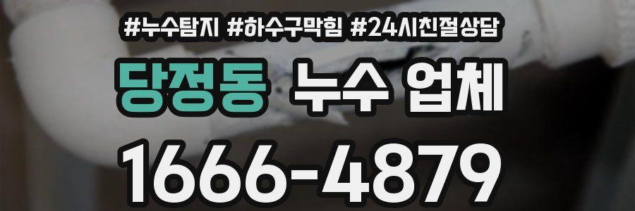 당정동 누수 업체