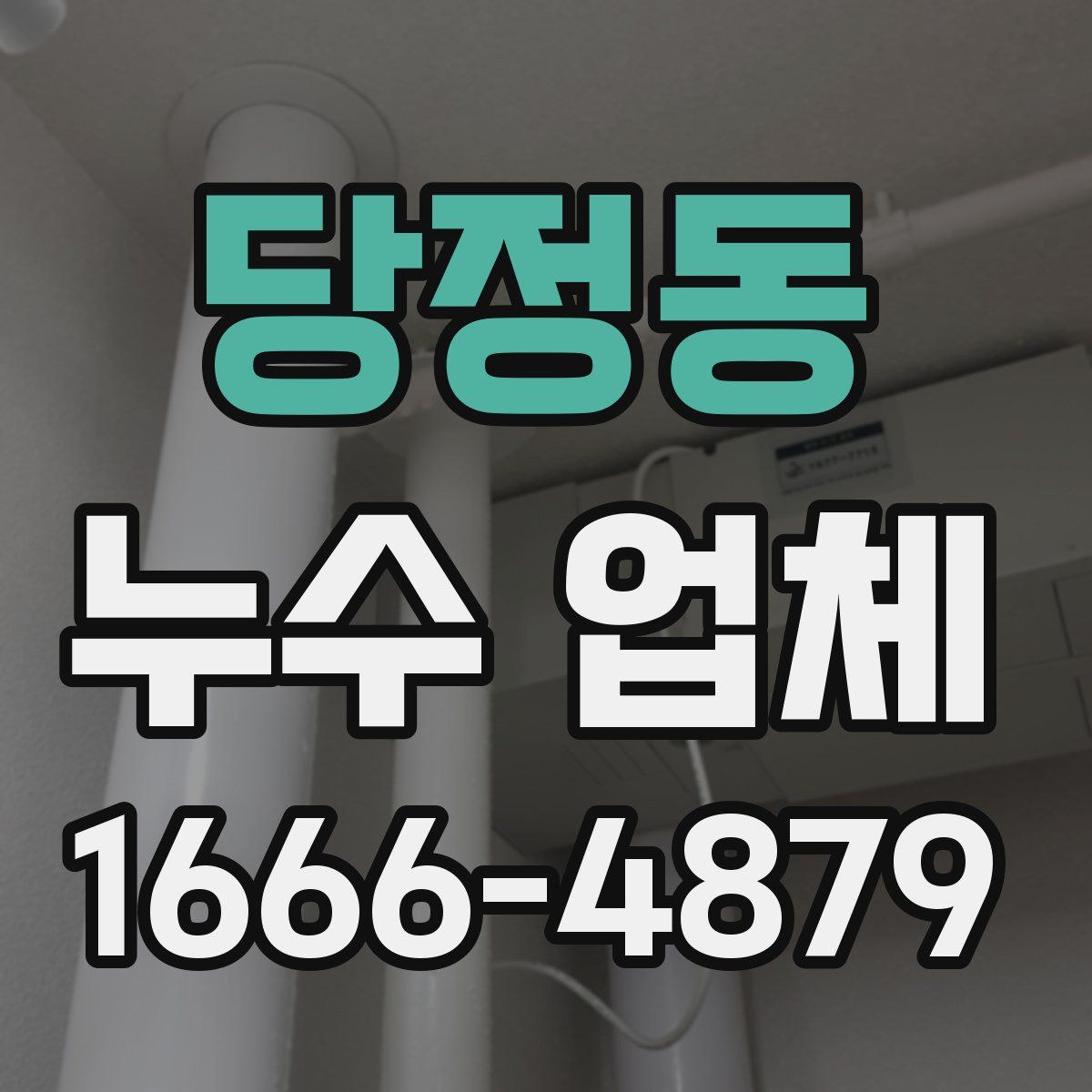 당정동 누수 업체