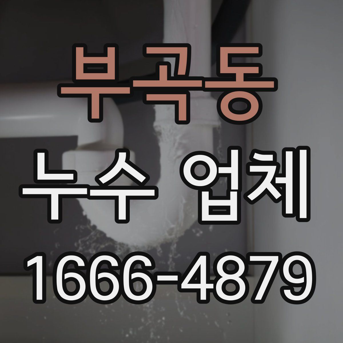 부곡동 누수 업체