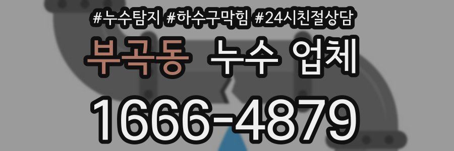 부곡동 누수 업체