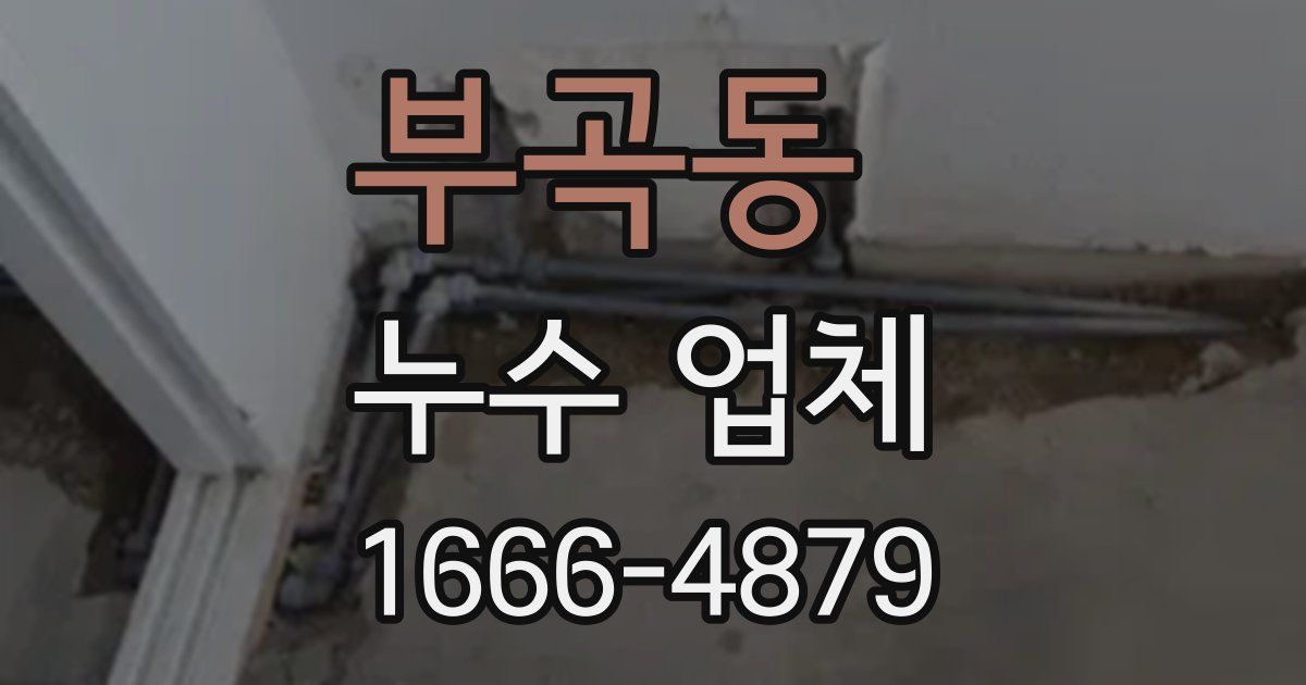 부곡동 누수 업체