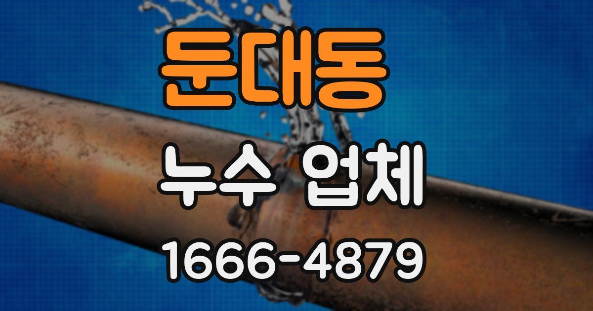 둔대동 누수 업체