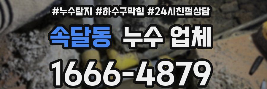 속달동 누수 업체