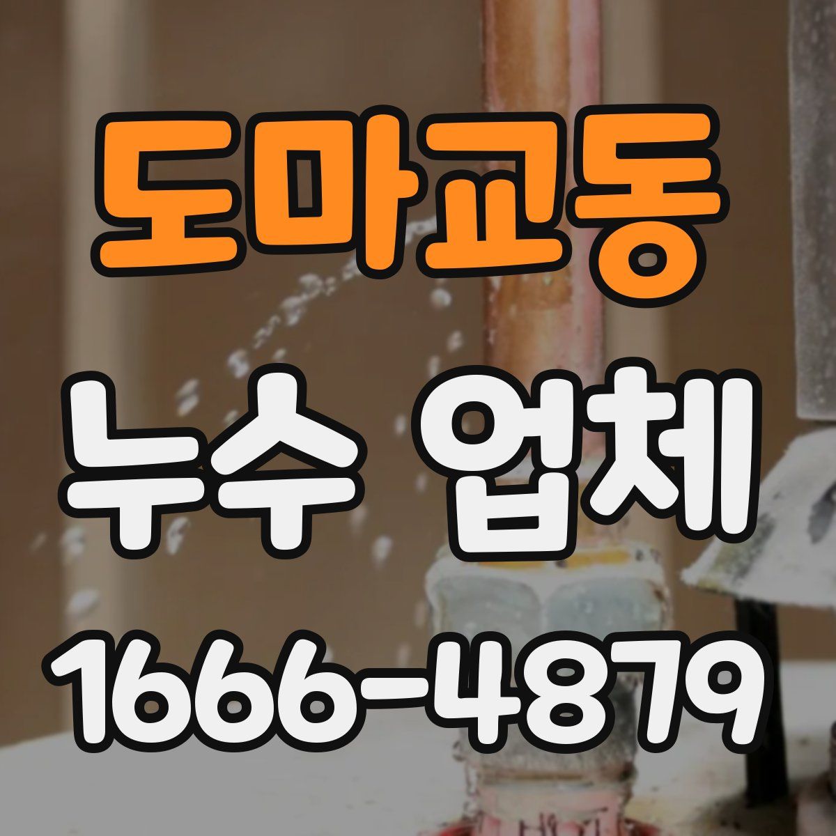 도마교동 누수 업체