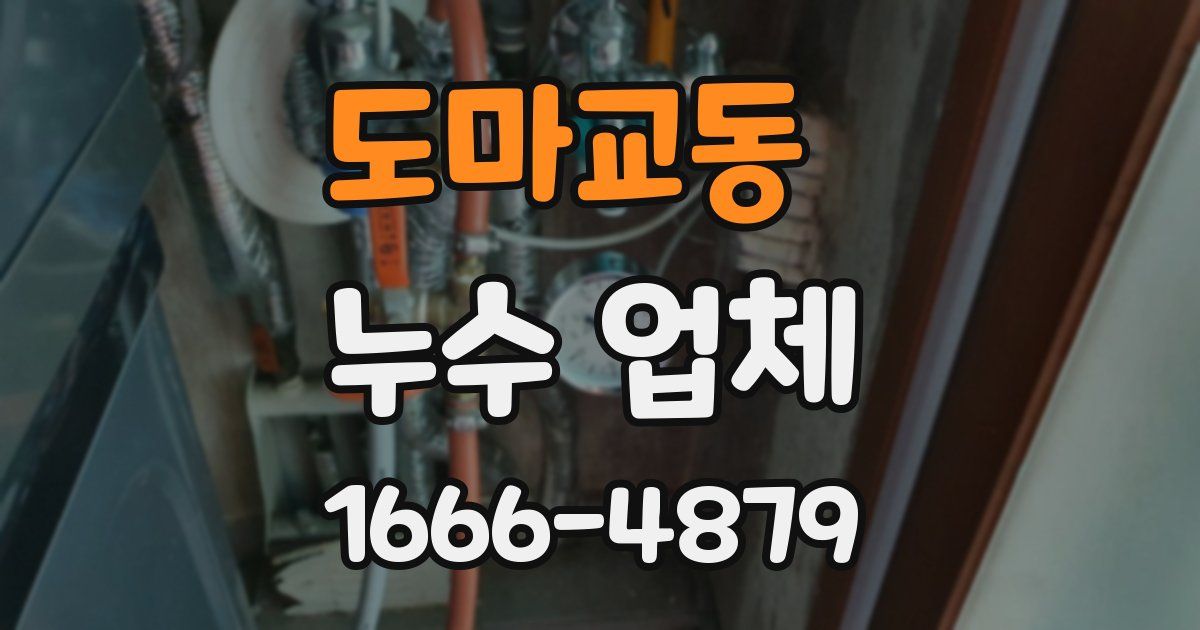 도마교동 누수 업체
