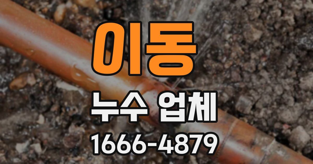 이동 누수 업체