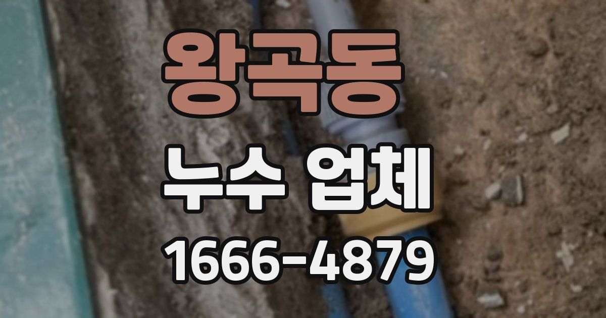 왕곡동 누수 업체