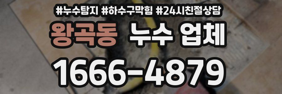 왕곡동 누수 업체