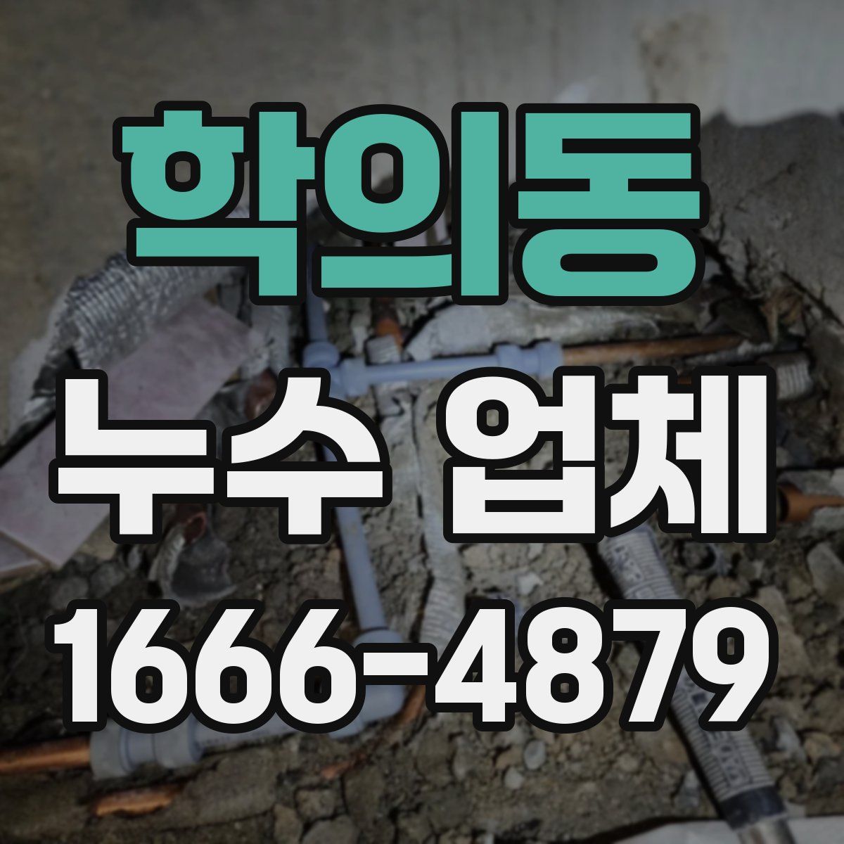 학의동 누수 업체