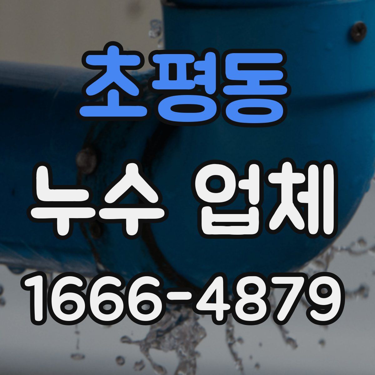 초평동 누수 업체