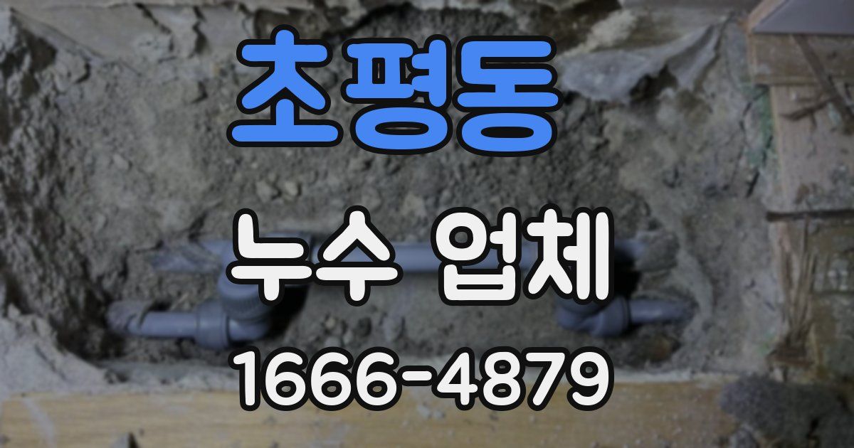 초평동 누수 업체