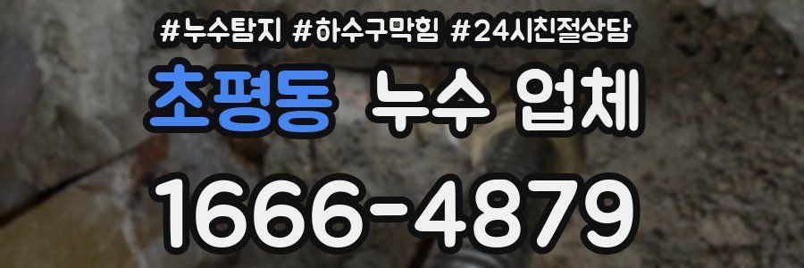 초평동 누수 업체