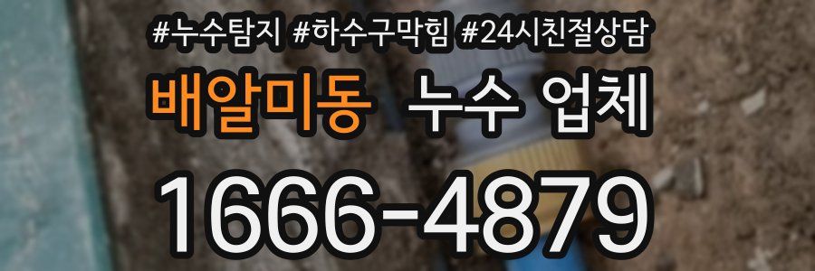 배알미동 누수 업체