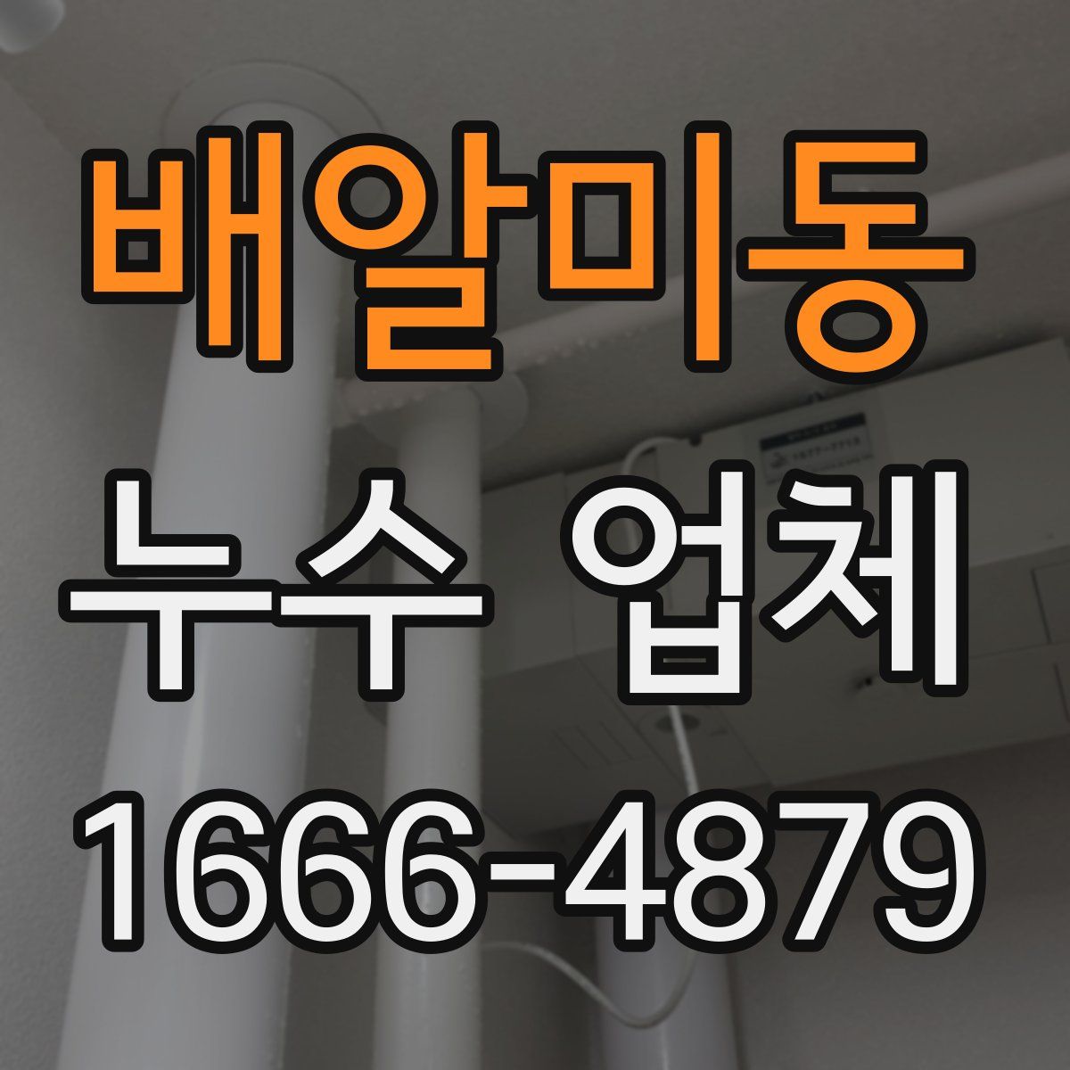 배알미동 누수 업체
