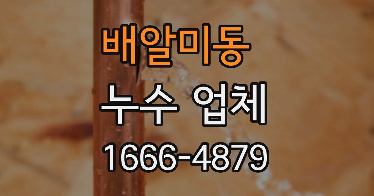 배알미동 누수 업체