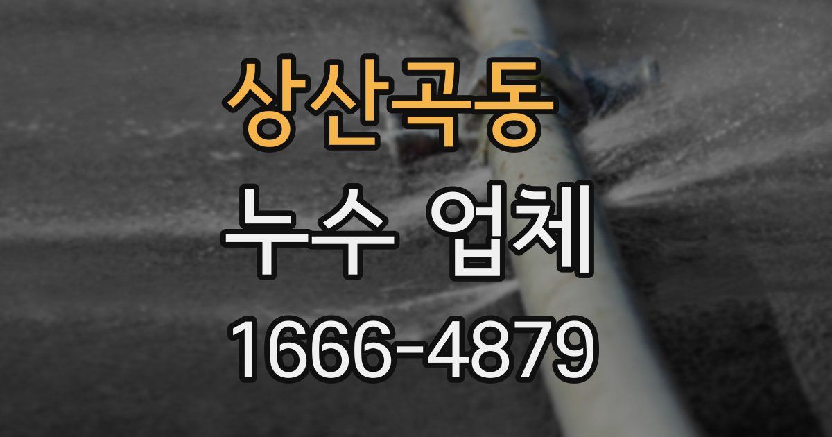 상산곡동 누수 업체