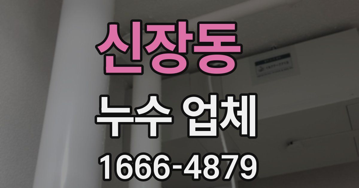 신장동 누수 업체