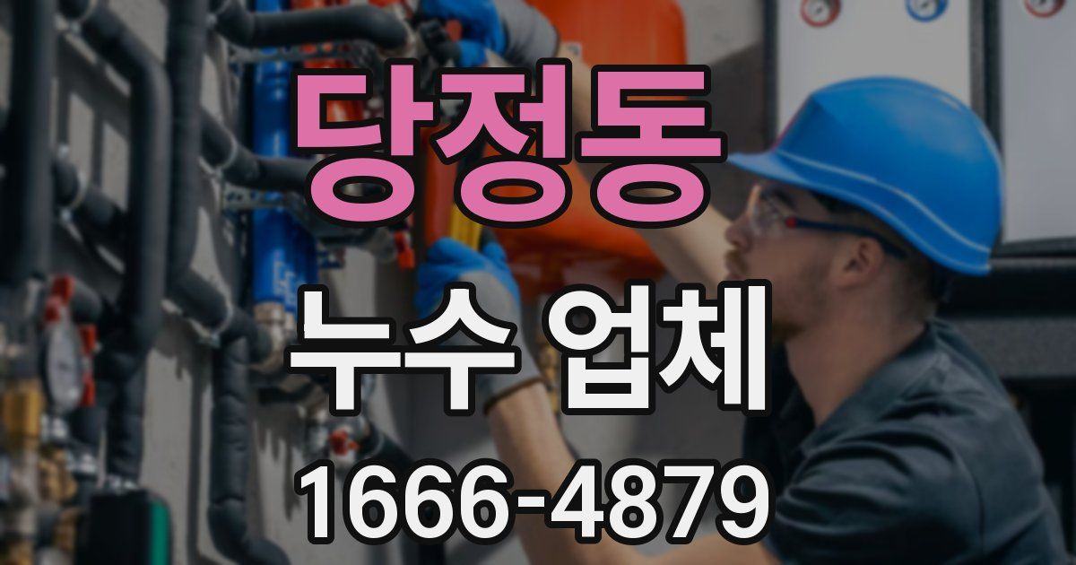 당정동 누수 업체