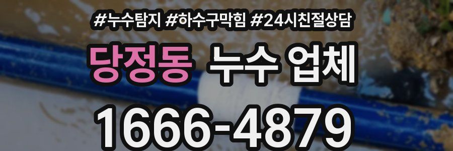 당정동 누수 업체