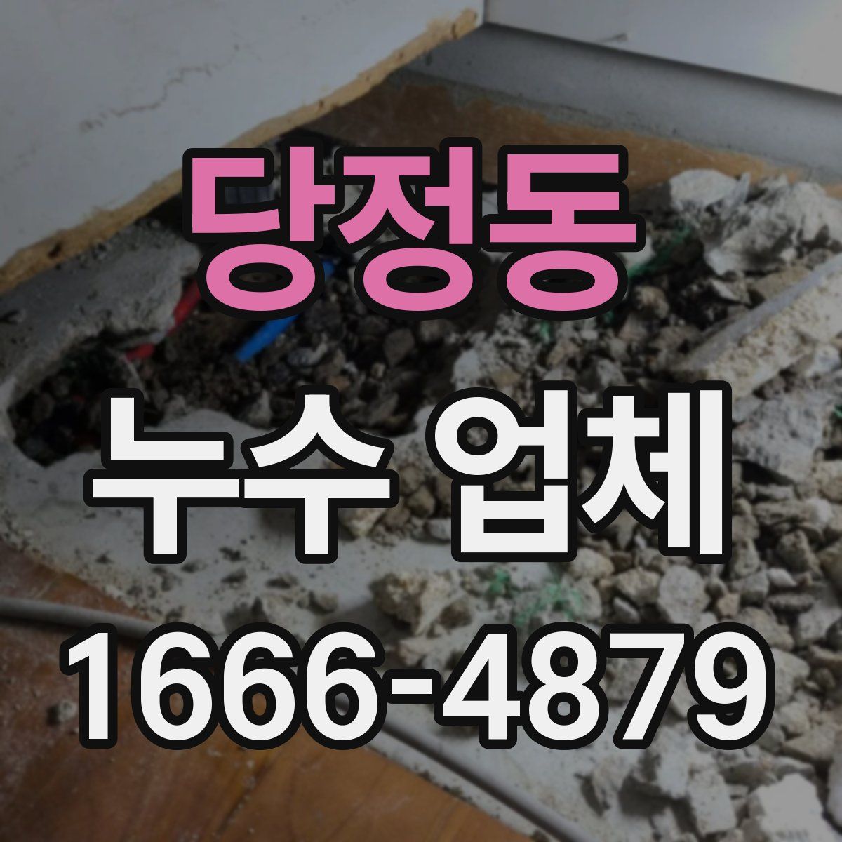 당정동 누수 업체