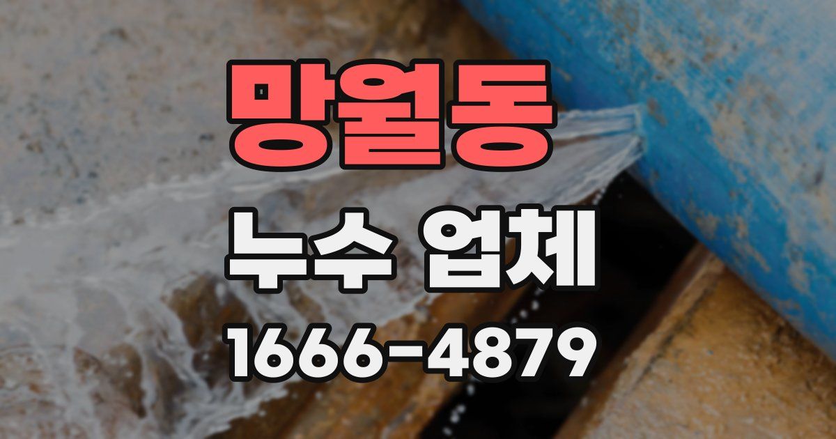 망월동 누수 업체