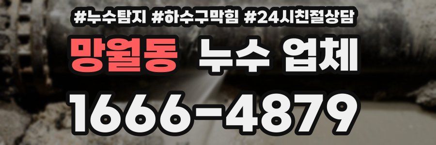 망월동 누수 업체