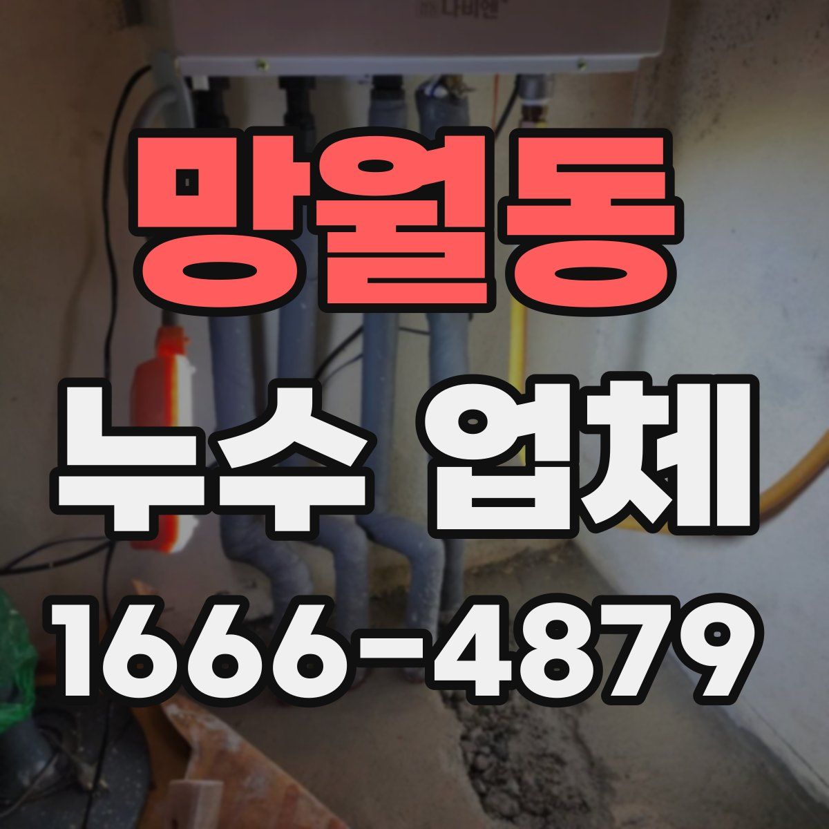 망월동 누수 업체