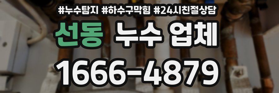 선동 누수 업체
