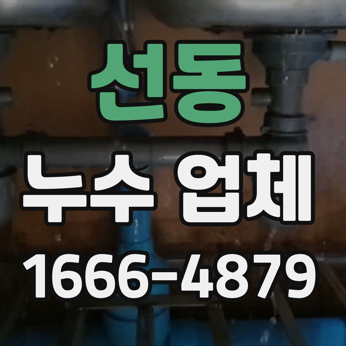 선동 누수 업체