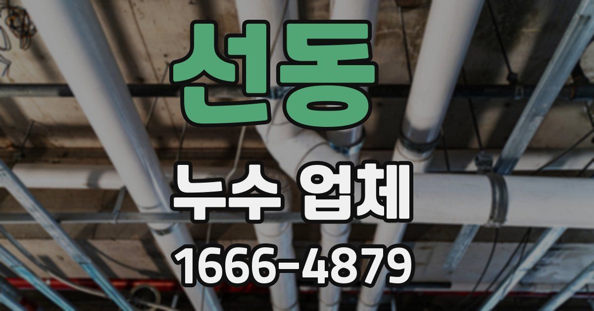 선동 누수 업체