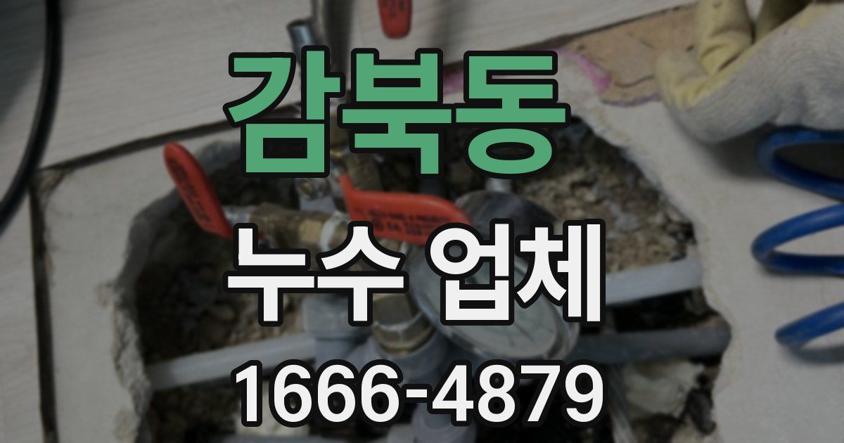 감북동 누수 업체