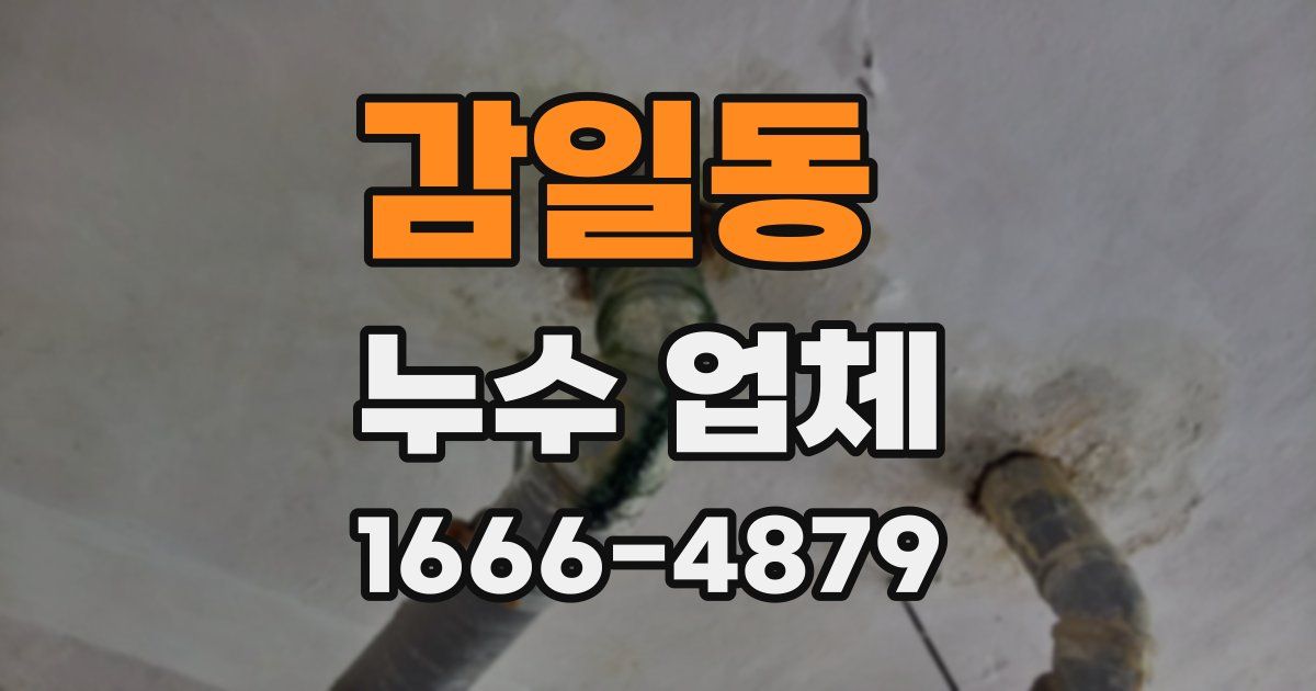 감일동 누수 업체