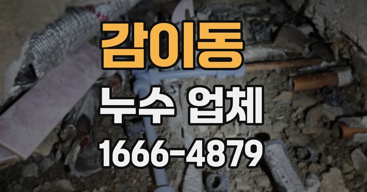 감이동 누수 업체