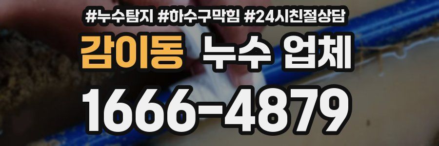 감이동 누수 업체