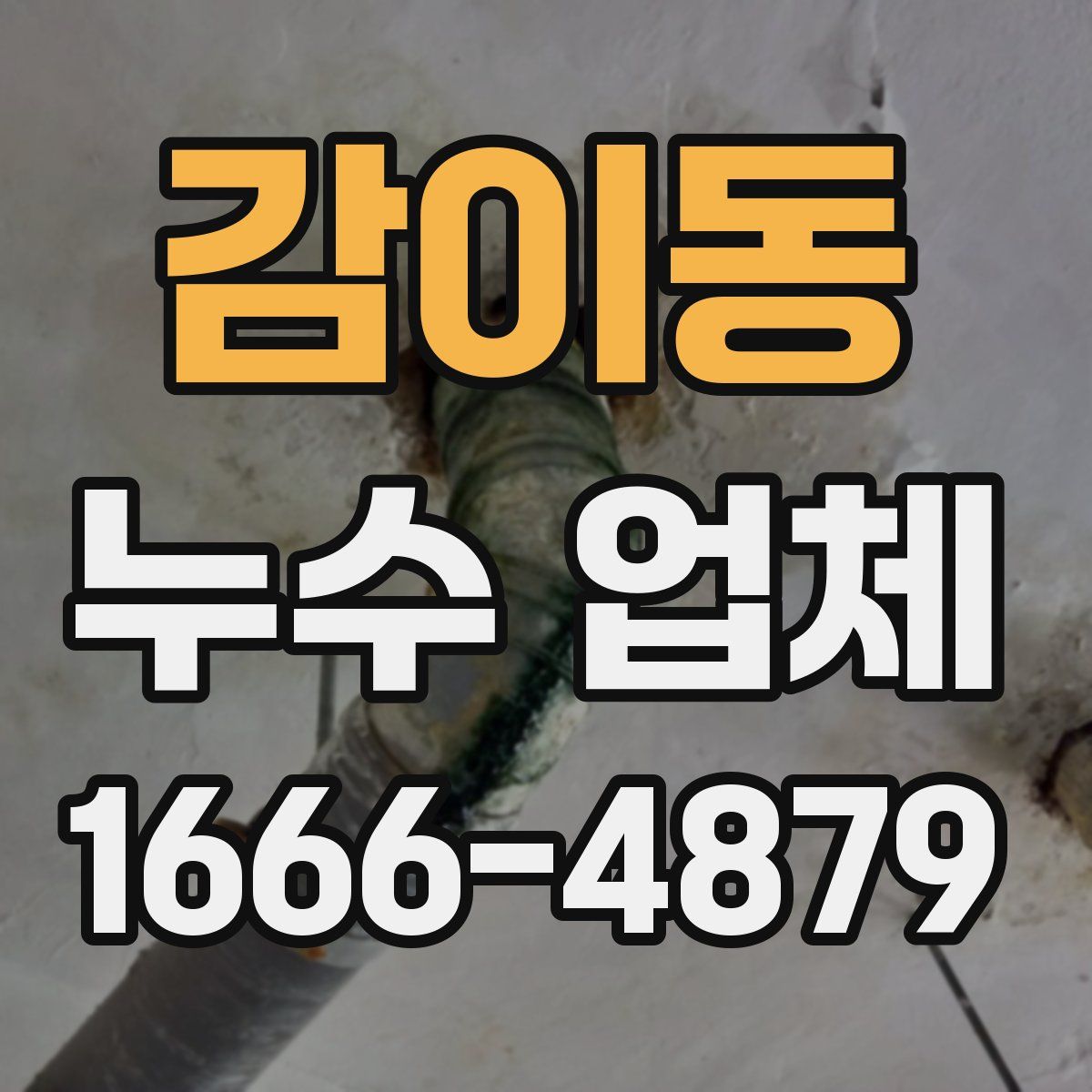 감이동 누수 업체