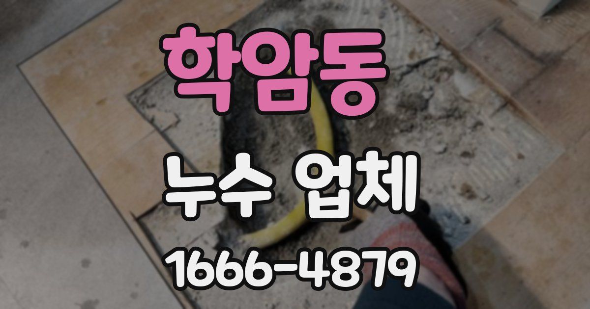 학암동 누수 업체
