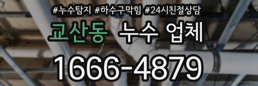교산동 누수 업체