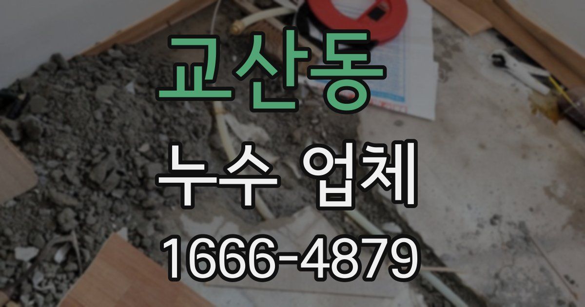 교산동 누수 업체
