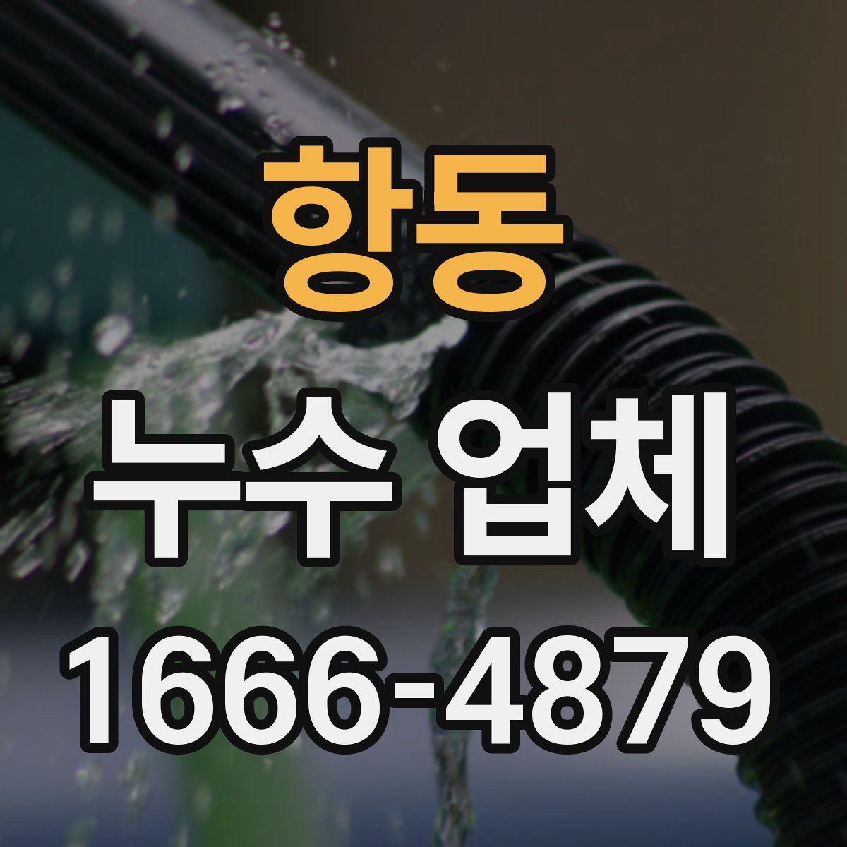 항동 누수 업체