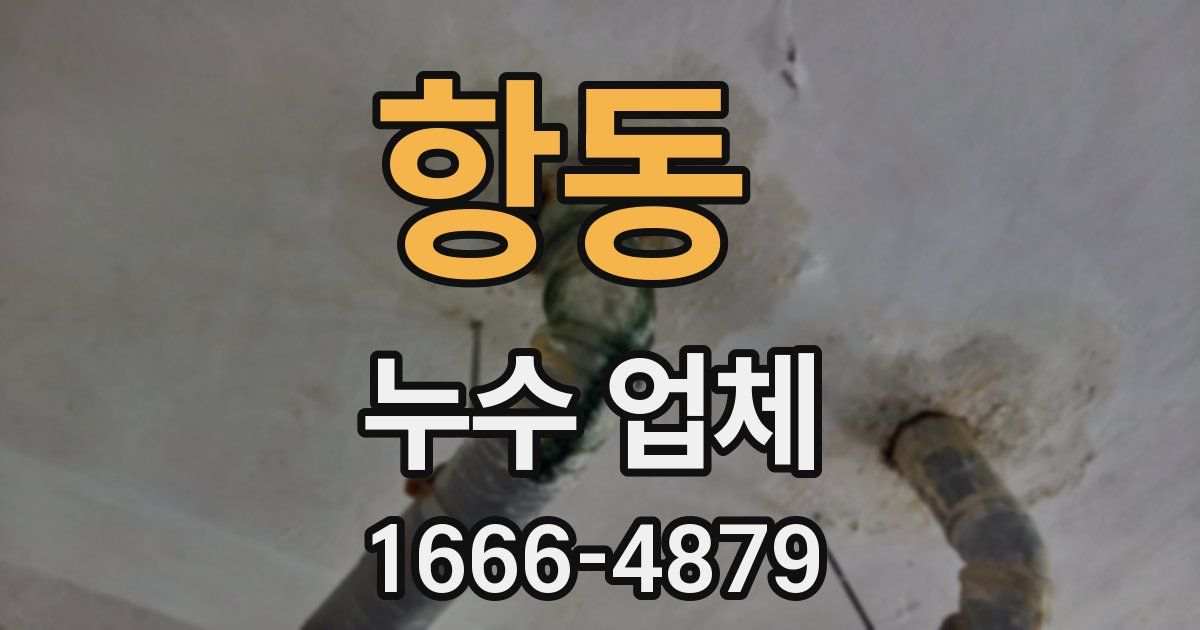 항동 누수 업체