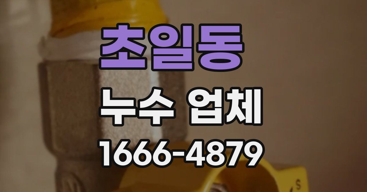 초일동 누수 업체