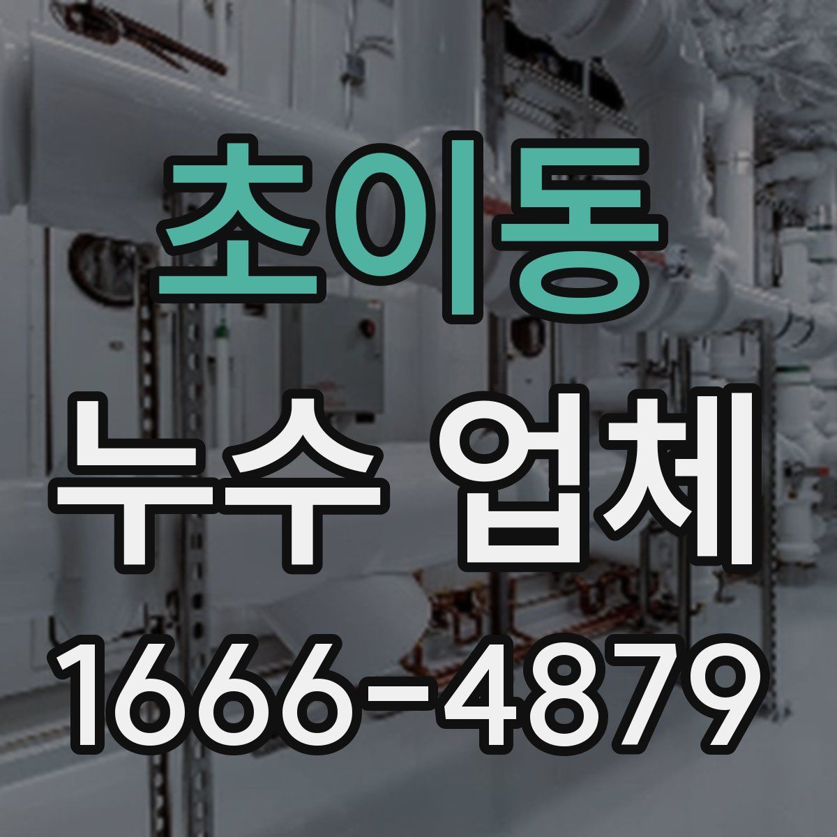 초이동 누수 업체
