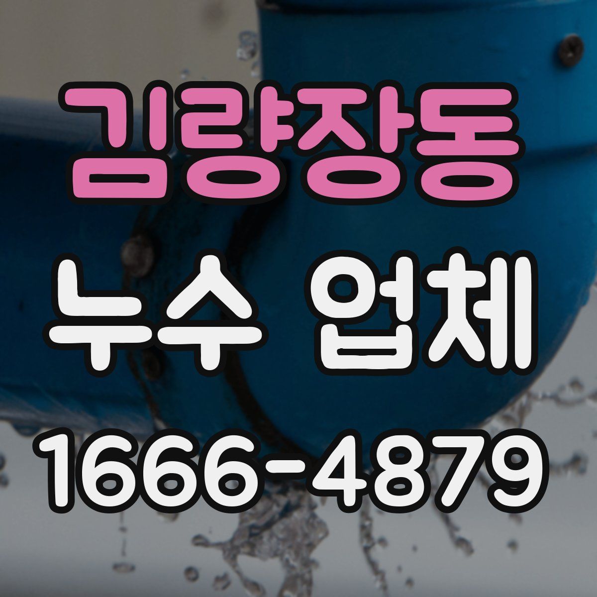 김량장동 누수 업체