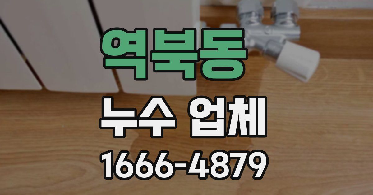 역북동 누수 업체