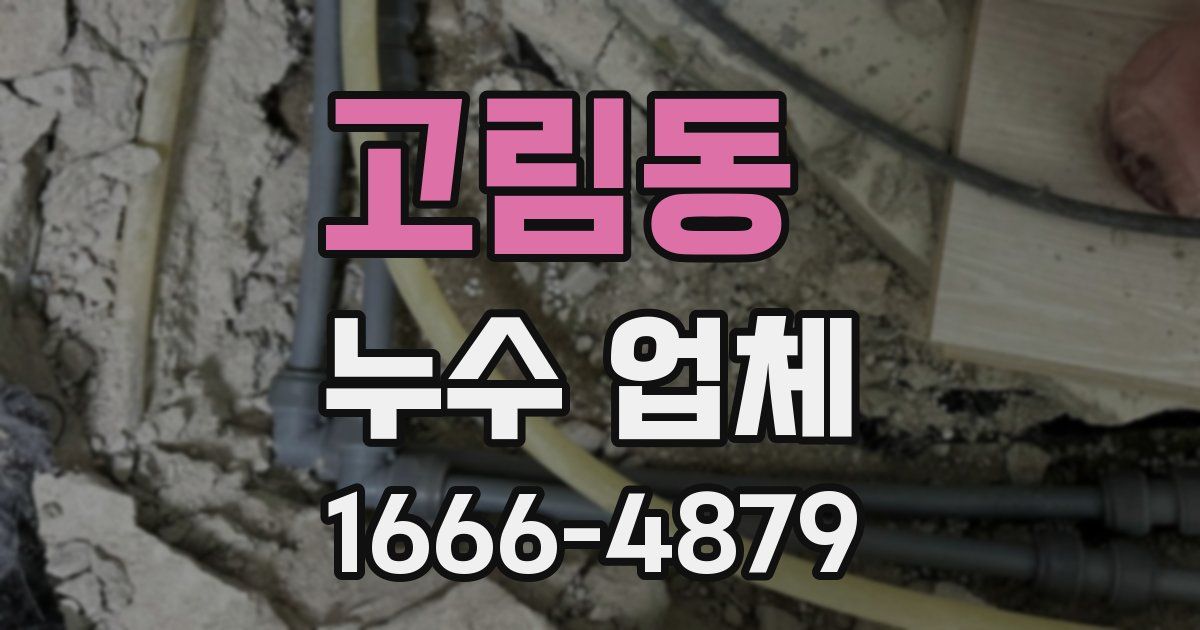 고림동 누수 업체