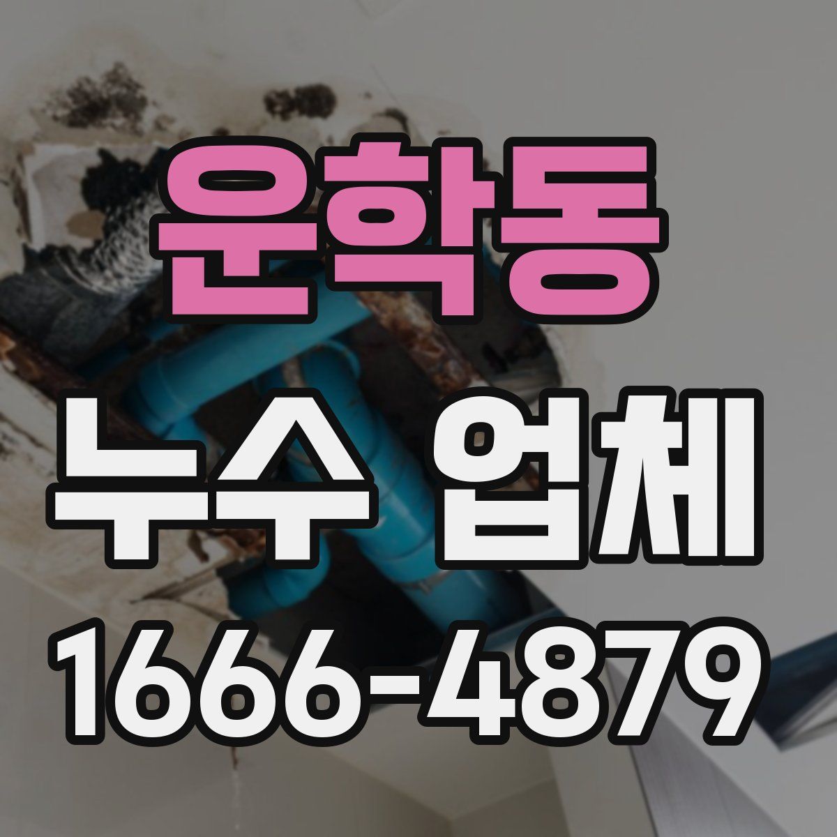 운학동 누수 업체