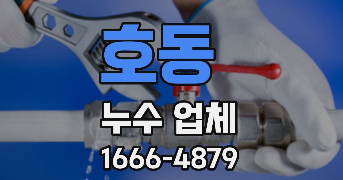 호동 누수 업체