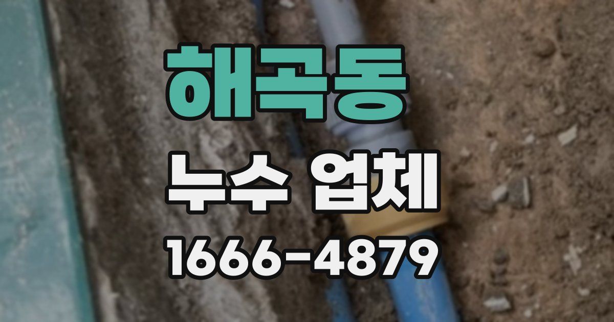 해곡동 누수 업체